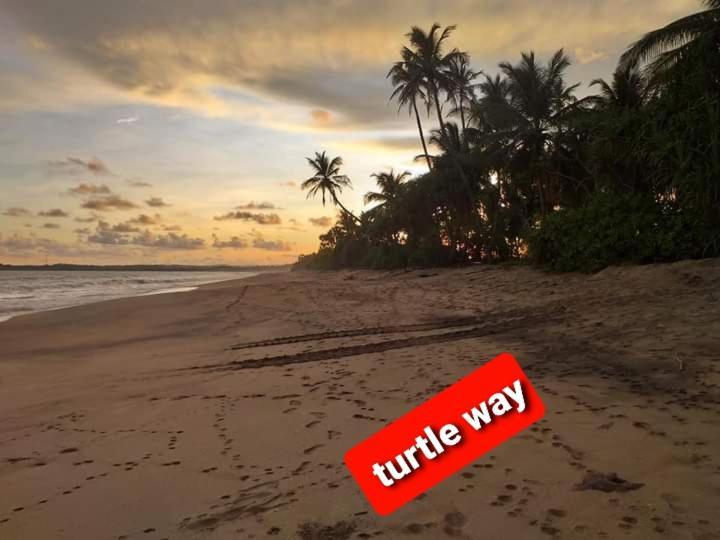 Star Sun Homestay Тангалла Экстерьер фото